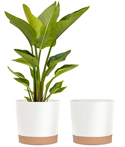 Plant Pots for Indoor Plants, 2 Pack 12 Inch Pots for Plants (12” White) - color: White, size: 12 Inch