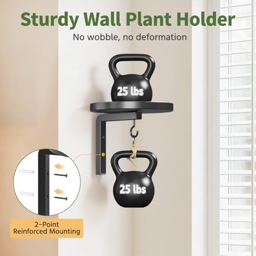 LASZOLA Plant Hanger Holder Window Shelf Wall Mounted Indoor, 2 Pcs Black - color: Black, size: 2