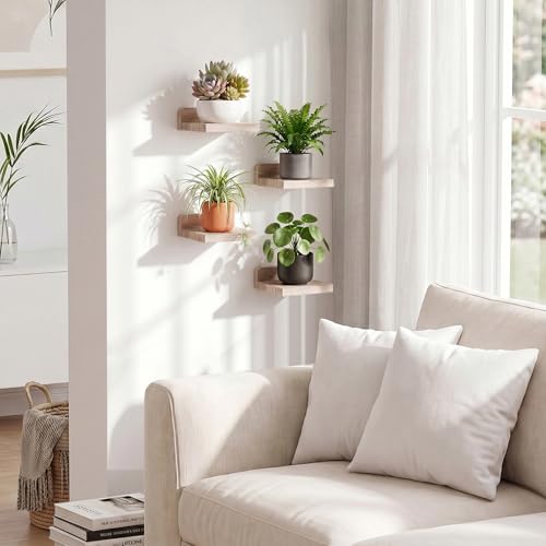 Fixwal Small Floating Shelves for Wall (Light Carbonized, Set of 4, 5 Inch) - color: Carbonized Black, size: 5 inches