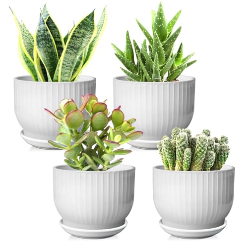 5.5 Inch Ceramic Plant Pot,White, 4 Pack - color: Pure White, size: 5.5 Inch(4 PCS)