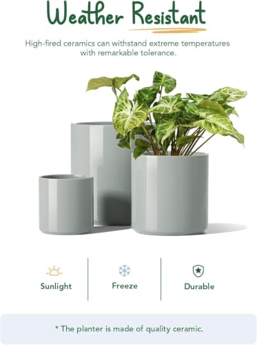 LE TAUCI 10+8+6 Inch Ceramic Pots for Plants, Indoor Planters with Drainage Hole and Plug, Modern Cylinder Flower Pots Set of 3 for Living Room and Bedroom, Glossy, Mist Gray - color: Mist Gray