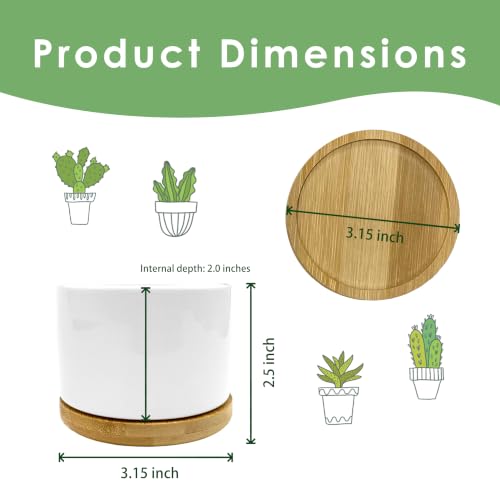 Inspirational Mental Health Gifts Plant Pots Planters - color: Style B