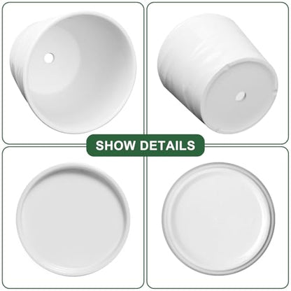 Ceramic Plant Pot, 6.7 + 5.5 Inch, White - color: Pure White, size: 6.7 + 5.5 Inch-2 Pack