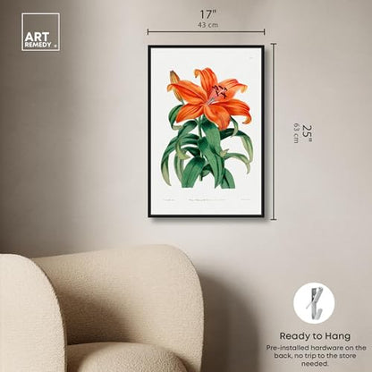 Art Remedy Botanical Prints Canvas, 16" x 24", Black Frame, Thunberg Orange Lily - color: Black Frame, size: 25"L x 17"W