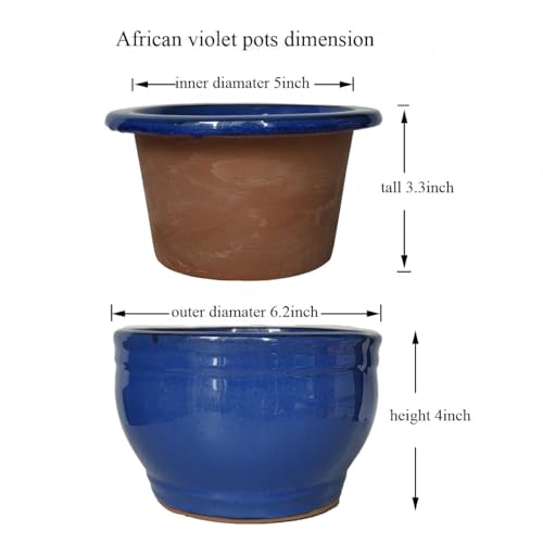 African Violet Pots Self Watering Blue 6 inch - color: Blue