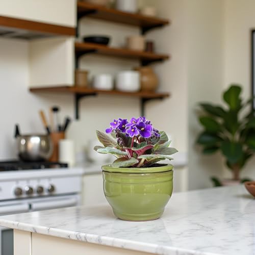 African Violet Pots Self Watering Green 6 inch - color: Green