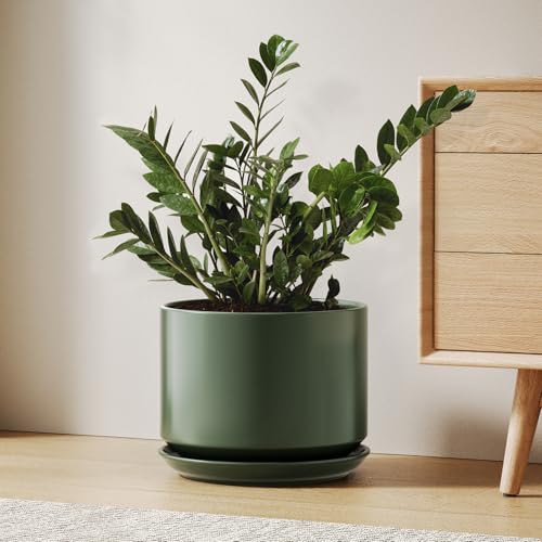 LE TAUCI 10 inch Plant Pot, Ceramic Pots for Plants, Forest Green - color: Forest Green, size: 10"