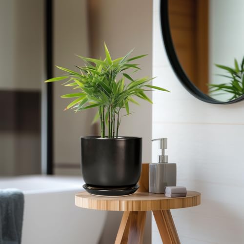 Ceramic Planter 7 Inch Plant Pot with Drainage, Black - color: Matte Black, size: 7 Inch