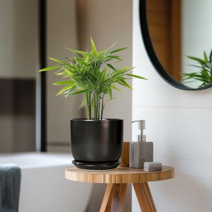 Ceramic Planter 7 Inch Plant Pot with Drainage, Black - color: Matte Black, size: 7 Inch
