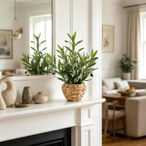 AlphaAcc Fake Potted Plant Small Olive Water Hyacinth Mediterranean Decor - color: Green Olive Plant 17.7" H