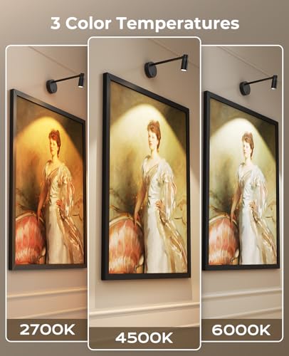 PESUTEN Zoomable Picture Light for Wall, Battery Operated Art Light for Paintings CCT Dimmable Spotlight for Wall Art Wall Light with Remote Control for Living Room Gallery Dartboard Bathroom