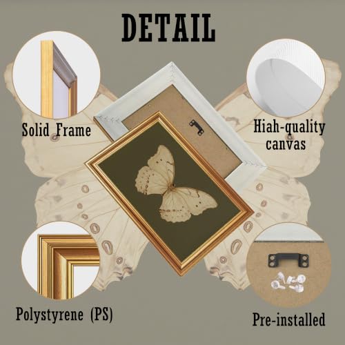 EJPFOGV Butterfly Framed Canvas Wall Art Dark Green Background 8x10 inches - color: Butterfly, size: 10"L x 8"W