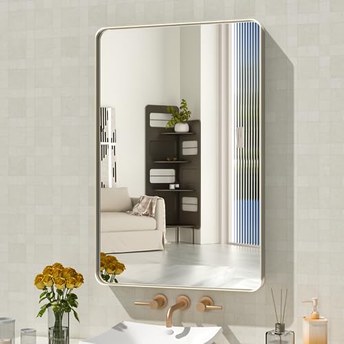 WEER Bathroom Vanity Mirror Brushed Nickel 20X30 Inch - color: Brushed Nickel, size: 20"L x 30"W