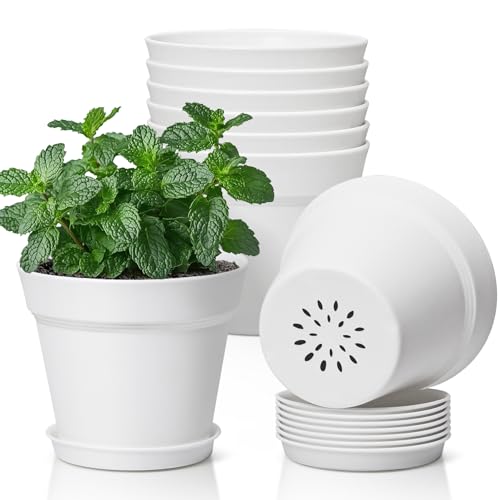 T4U Small Plant Pots 5 Inch 8 Pack, Plastic Indoor Flower Pots Saucer White - color: White, size: 5 inch