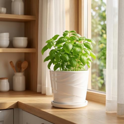 8 Inch Ceramic Plant Pot, White - color: Pure White, size: 8 Inch-1 Pack