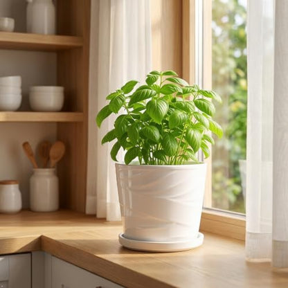 8 Inch Ceramic Plant Pot, White - color: Pure White, size: 8 Inch-1 Pack