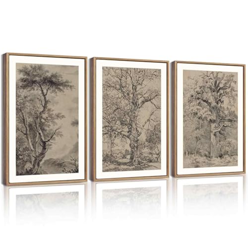KUVIOKE Vintage Tree Framed Wall Art Retro Antique Forest Drawings Nature Wilderness Sketch Wall Painting Modern Decor 12x16in (Natural Framed) - color: Vintage Trees, size: 12 x 16in x 3 Panels Natural