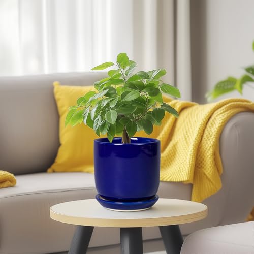 Succulent Pot 5 Inch, Modern Ceramic Planter, Blue - color: Dark Blue, size: 5.3 Inch