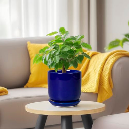 Succulent Pot 5 Inch, Modern Ceramic Planter, Blue - color: Dark Blue, size: 5.3 Inch