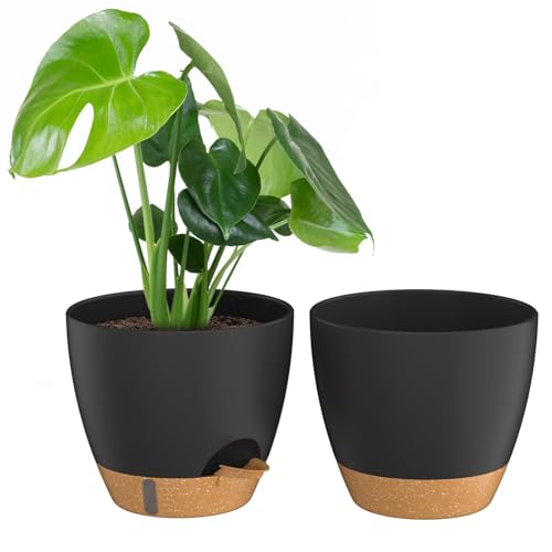 8-Inch Black Self-Watering Plant Pots, 2-Pack for Indoor and Outdoor Plants - color: Black With Brown, size: 8 Inch