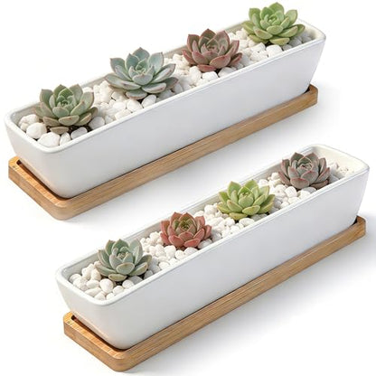 White Ceramic Succulent Planters, Indoor and Outdoor Succulent Planters, Set of 2 Cactus Containers, Bonsai Pots, Flower Pots with Drainage Hole and Bamboo Bowl (No Plant) - color: Thin Rectangle
