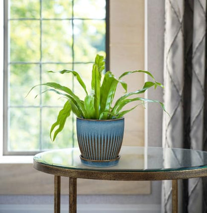 Oairse Ceramic Pots for Indoor Plants 4.9 +5.7 inch Pots for Plants - color: Slate Blue - 4.9" & 5.7" Set