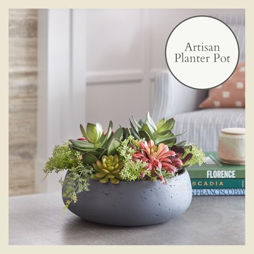 CG Hunter, Faux Succulent Arrangement, Grey, Home Decor - size: 14" Round Grey