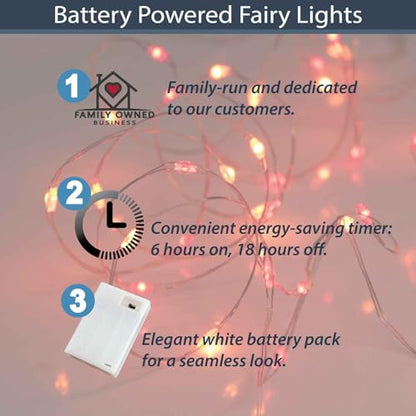 QBIS Christmas Lights Battery Operated, Red & Orange, 40 Micro LEDs 6.5ft - size: 1PK-40 Red,Orange