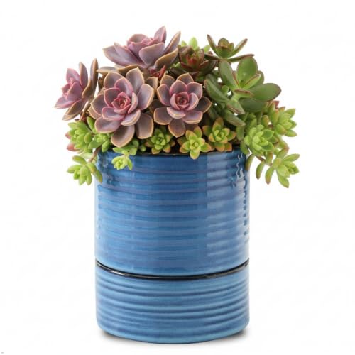 HASENSE Ceramic Self Watering Pots for Indoor Plant, 6 Inch Planter with Drainage Hole & Water Storage Saucer for Indoor & Outdoor Plants, Reactive Glaze Blue - color: Blue, size: 6 Inch (Self Watering, 1 pcs)