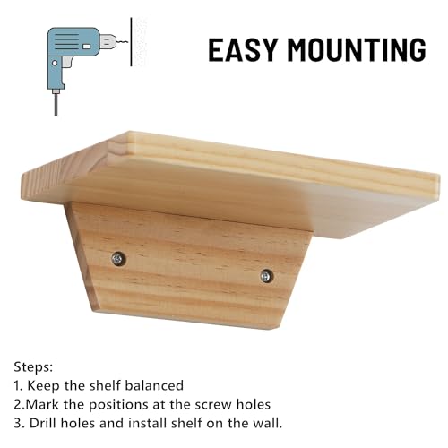 Small Wall Shelves,Speaker Shelf,Floating Shelf Trapezoid for Wifi Router - color: Natural Wood, size: Set of 2