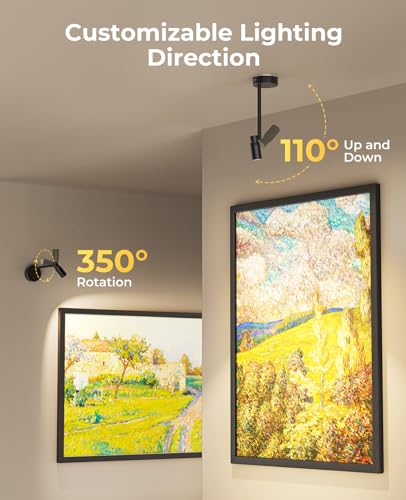 PESUTEN Zoomable Picture Light for Wall, Battery Operated Art Light for Paintings CCT Dimmable Spotlight for Wall Art Wall Light with Remote Control for Living Room Gallery Dartboard Bathroom