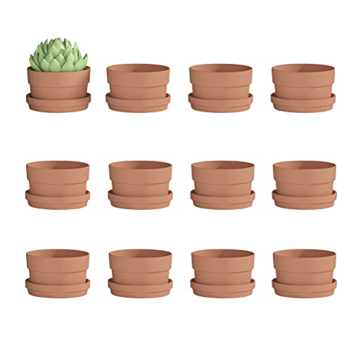 Fcacti 3.5 Inch Terracotta Shallow Succulent Pot - 12 Pack Small Terra Cotta Clay Pots with Saucer, Cacuts Terra-Cotta Indoor and Outdoor Planters with Drainage Hole - size: 3.5 inches