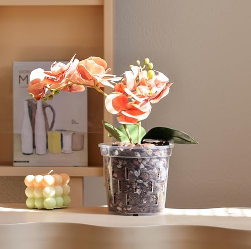 TRUEDAYS Orchid Pot with Saucers, 6 Pack 6 Inch Plant Pot with Drainage - size: 6Inch-6Pack with 6 Saucers