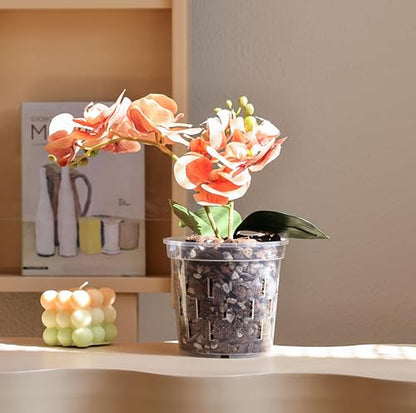 TRUEDAYS Orchid Pot with Saucers, 6 Pack 6 Inch Plant Pot with Drainage - size: 6Inch-6Pack with 6 Saucers