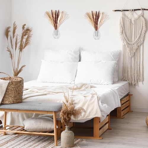 Otoolling Boho Wall Decor Set of 2, Silver, Pampas - color: Silver, style: Pampas