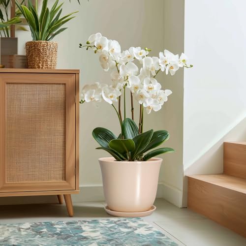 Ceramic Plant Pots, 12 Inch Plant Pot with Drainage, Beige - color: Beige, size: 12 Inch