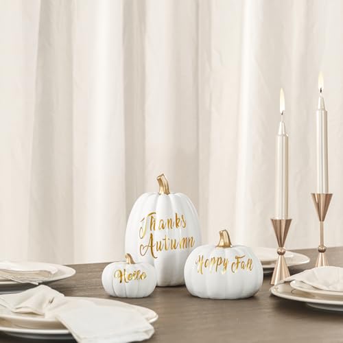 DN DECONATION 3Pcs Fall Pumpkin Decorations for Home, Faux Words Pumpkin