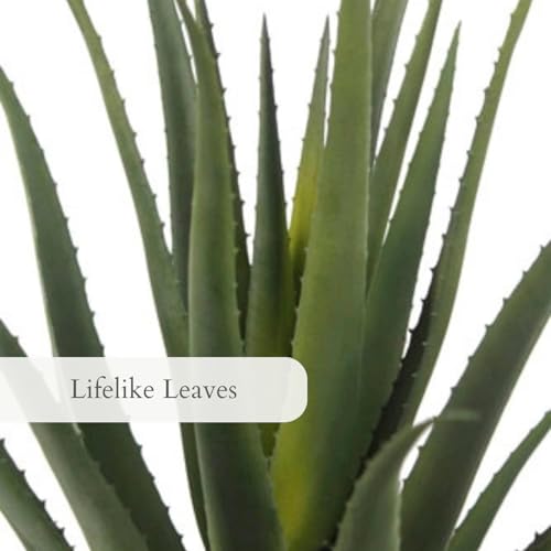 CG Hunter, Faux Agave Plant, 31.5 in, Natural, Home Decor - size: 31.5" Agave