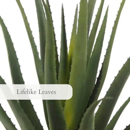 CG Hunter, Faux Agave Plant, 31.5 in, Natural, Home Decor - size: 31.5" Agave