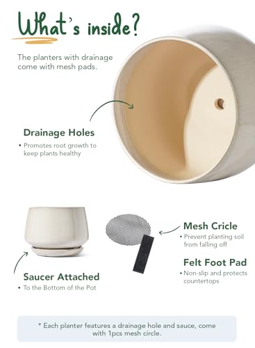 LE TAUCI Ceramic Planter, 10 Inch, Large Plant Pot, Reactive Glaze Beige - color: Reactive Glaze Beige, size: 10"