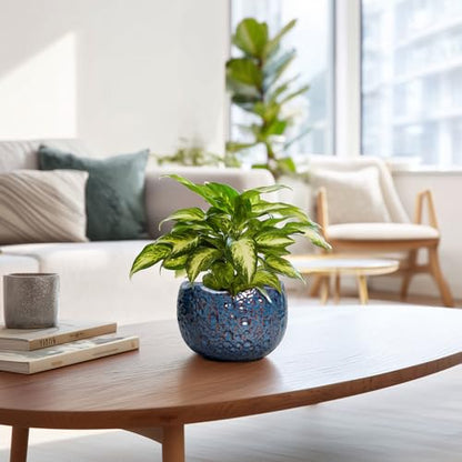6 Inch Plant Pot, Ceramic Pots for Plants, Retro Blue - color: Retro Blue, size: 6.2 Inch