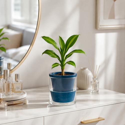 D'vine Dev Self-Watering Blue Terracotta Planter Pot, 4 in, 37-X-A-4 - color: Blue, size: 4 Inch