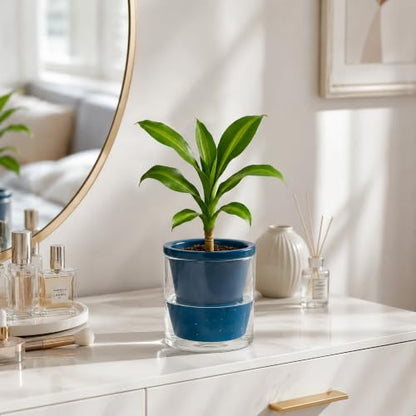 D'vine Dev Self-Watering Blue Terracotta Planter Pot, 4 in, 37-X-A-4 - color: Blue, size: 4 Inch
