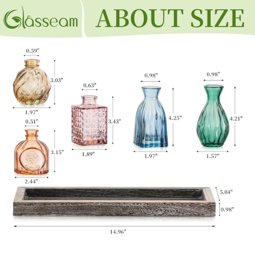 Glasseam Glass Bud Vases for Flower: 5 Pcs Small Vases with Wooden Tray - color: Colorful-embossed