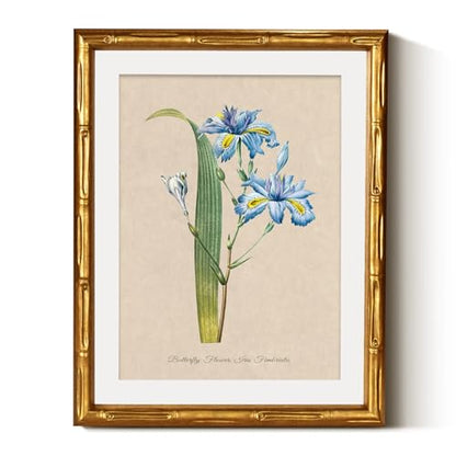 InSimSea Gold Bamboo Framed Wall Art, Blue Iris Botanical Prints, 11x14In - color: Blue Iris
