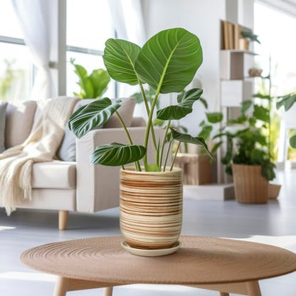 8 Inch Plant Pot, Ceramic Planter for Plants, Yellow - color: Yellow Stripes, size: 8 Inch
