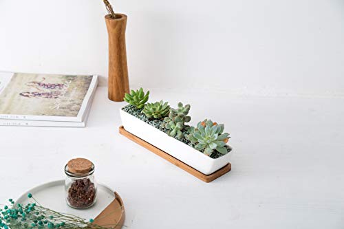 SeaStar Long Rectangular White Ceramic Succulent Planter Pot with Bamboo Tray,Perfect for displaying Succulent Arrangements on Desk, Window sill and Office Table. Plants not Included.