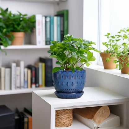 G EPGardening Plant Pot 5 Inch, Ceramic Planter for Indoor Plants, Blue - color: Columnar Blue