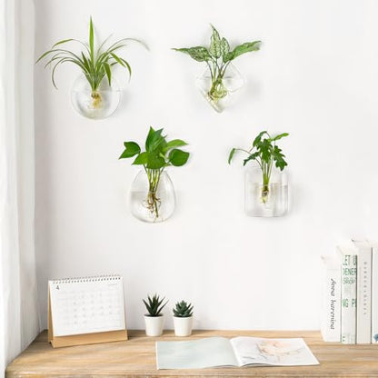 Mkono Wall Propagation Planters, 4 Pack Glass Hanging Vase Plant Holder