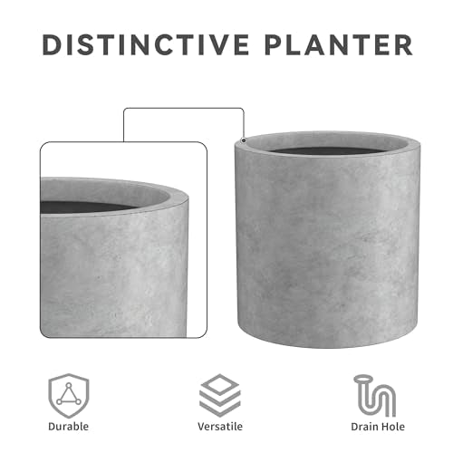 Kante Small Round Cylinder Pale Gray Concrete Planter 9.8" Tall, Outdoor - color: Natural Concrete, size: 9.8" Dia